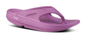 Women's OOriginal Sandal - Plum