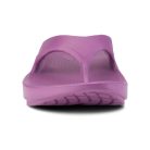 1000PLUM_shot3.jpg