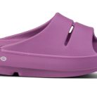 1100PLUM_shot1_1.jpg