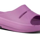 1100PLUM_shot2.jpg