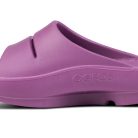 1100PLUM_shot4_1.jpg