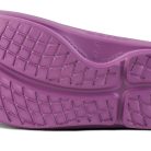 1100PLUM_shot7.jpg