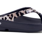 1403BLKCHEET_shot1.jpg