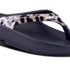 1403BLKCHEET_shot2.jpg